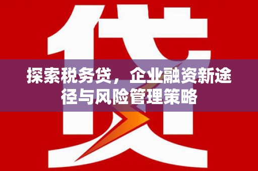 翔安探索税务贷，企业融资新途径与风险管理策略