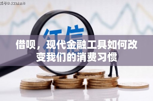 鹿泉借呗，现代金融工具如何改变我们的消费习惯