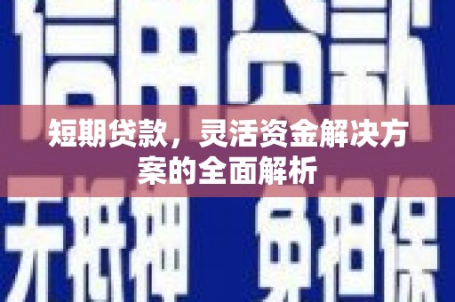 呼兰短期贷款，灵活资金解决方案的全面解析