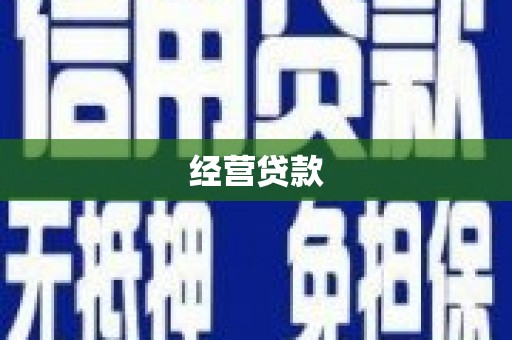 嘉模堂区经营贷款