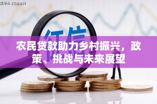 洞头农民贷款助力乡村振兴，政策、挑战与未来展望