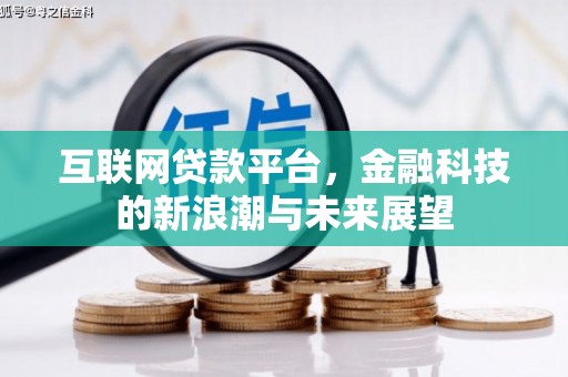 武陵互联网贷款平台，金融科技的新浪潮与未来展望