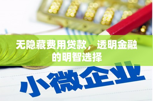 惠来无隐藏费用贷款，透明金融的明智选择