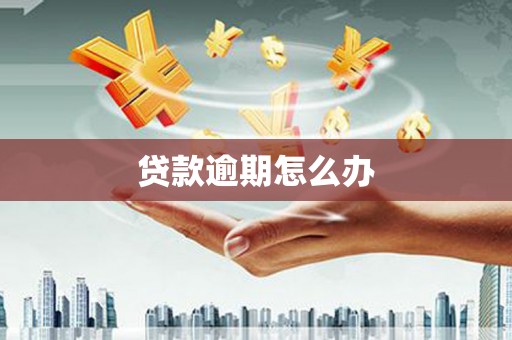 平鲁贷款逾期怎么办