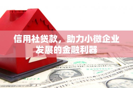 龙城信用社贷款，助力小微企业发展的金融利器