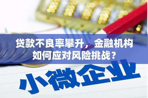 德惠贷款不良率攀升，金融机构如何应对风险挑战？