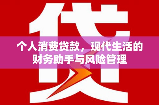 乐都个人消费贷款，现代生活的财务助手与风险管理