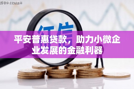 洪梅平安普惠贷款，助力小微企业发展的金融利器