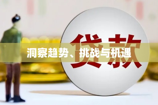 石狮洞察趋势、挑战与机遇