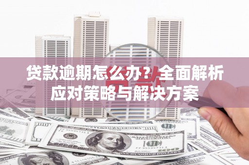 天心贷款逾期怎么办？全面解析应对策略与解决方案