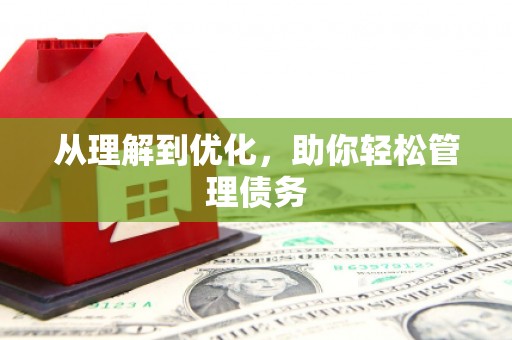 高坪从理解到优化，助你轻松管理债务