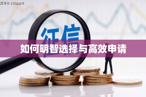 永年如何明智选择与高效申请