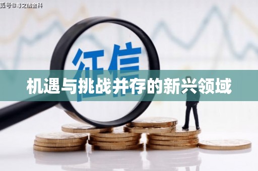 凤城机遇与挑战并存的新兴领域
