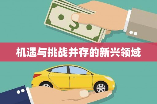 福海机遇与挑战并存的新兴领域