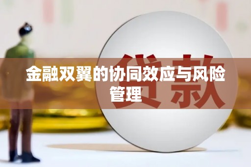 镇巴金融双翼的协同效应与风险管理