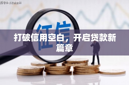 沙鹿打破信用空白，开启贷款新篇章